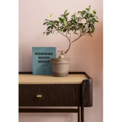 KARE Design Meubles><noscript><img width=