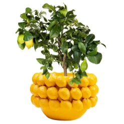 KARE Design Accessoires>Cachepot décoratif Lemon Juice 22cm