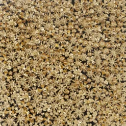 KARE Design Accessoires>Cadre décoratif Gold Flower 120x120cm