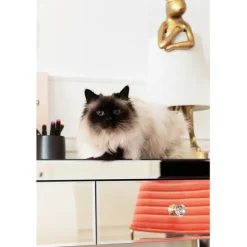 KARE Design Meubles><noscript><img width=