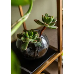 KARE Design Meubles><noscript><img width=
