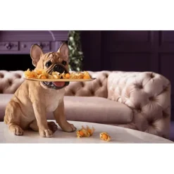 KARE Design Accessoires><noscript><img width=