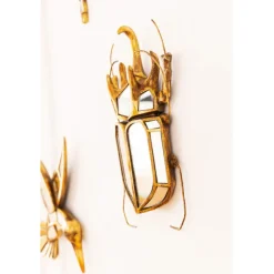 KARE Design Accessoires>Objet mural Beetle miroir 25x39cm