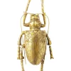 KARE Design Accessoires>Objet mural Longicorn Beetle doré
