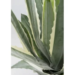 KARE Design Accessoires>Plante décorative Agave 50cm