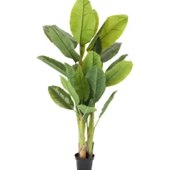 KARE Design Accessoires>Plante décorative Banana Tree 180cm