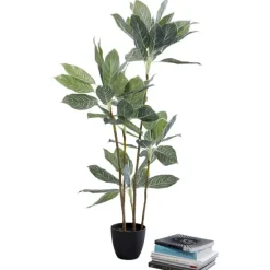 KARE Design Accessoires>Plante décorative Calathea 140cm