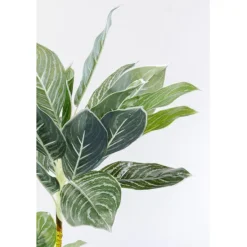 KARE Design Accessoires><noscript><img width=