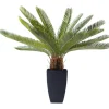 KARE Design Accessoires>Plante décorative Cycas Tree 78cm