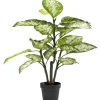 KARE Design Accessoires>Plante décorative Dieffenbachie 100cm