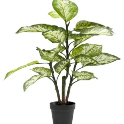 KARE Design Accessoires>Plante décorative Dieffenbachie 100cm