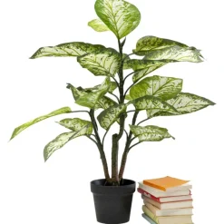 KARE Design Accessoires>Plante décorative Dieffenbachie 100cm