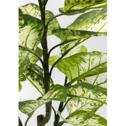 KARE Design Accessoires><noscript><img width=