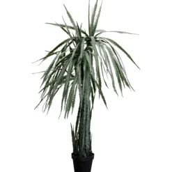 KARE Design Accessoires>Plante décorative Dragon Tree 155cm