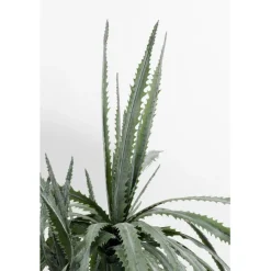 KARE Design Accessoires>Plante décorative Dragon Tree 155cm
