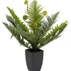 KARE Design Accessoires>Plante décorative Farn 55cm