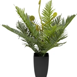 KARE Design Accessoires>Plante décorative Farn 55cm