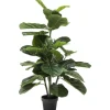 KARE Design Accessoires>Plante décorative Fiddle Leaf 120cm