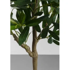 KARE Design Accessoires><noscript><img width=
