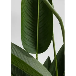 KARE Design Accessoires><noscript><img width=