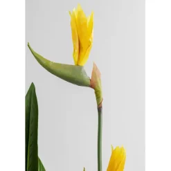 KARE Design Accessoires><noscript><img width=