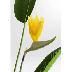 KARE Design Accessoires><noscript><img width=