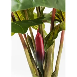 KARE Design Accessoires><noscript><img width=