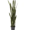 KARE Design Accessoires>Plante décorative Sansewieria 155cm