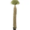 KARE Design Accessoires>Plante décorative Yucca Rostrata 240cm