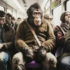 KARE Design Accessoires>Tableau en verre Commuter Monkey 60x60cm