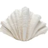 KARE Design Accessoires>Vase décoratif Concha 57cm
